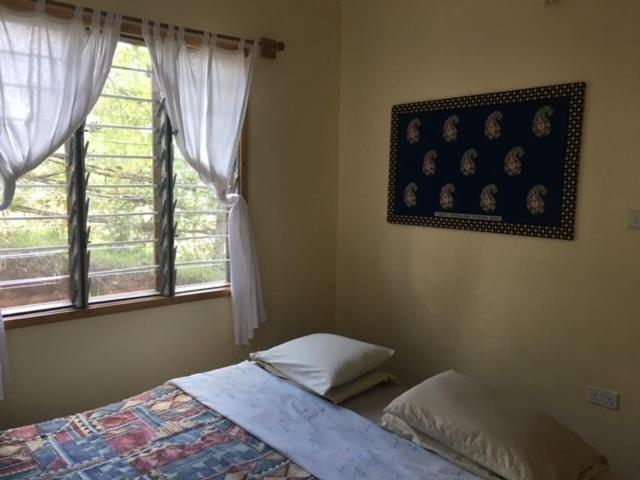 Milemeleni Guesthouse Lushoto Exteriér fotografie